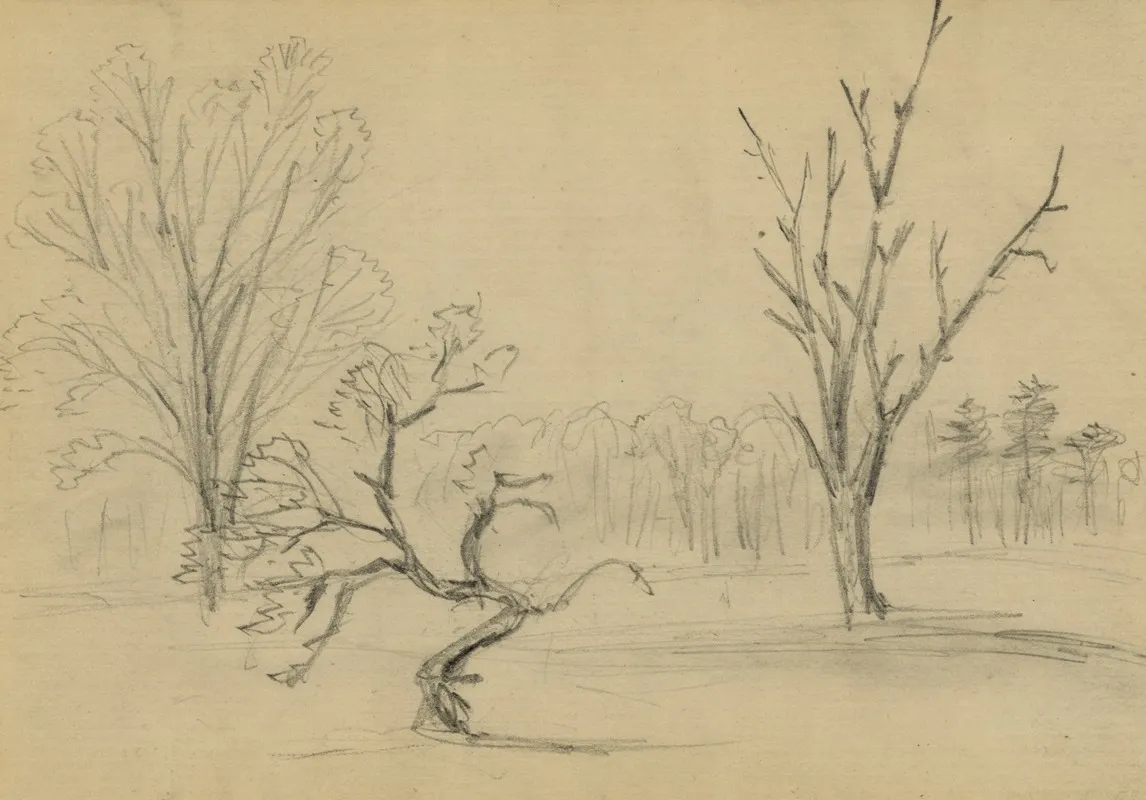 Trees 19