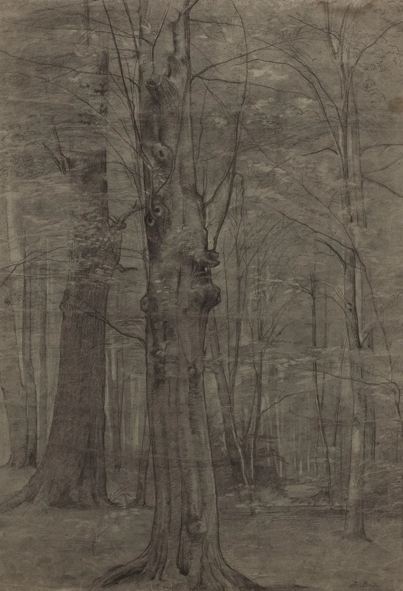 Trees 21