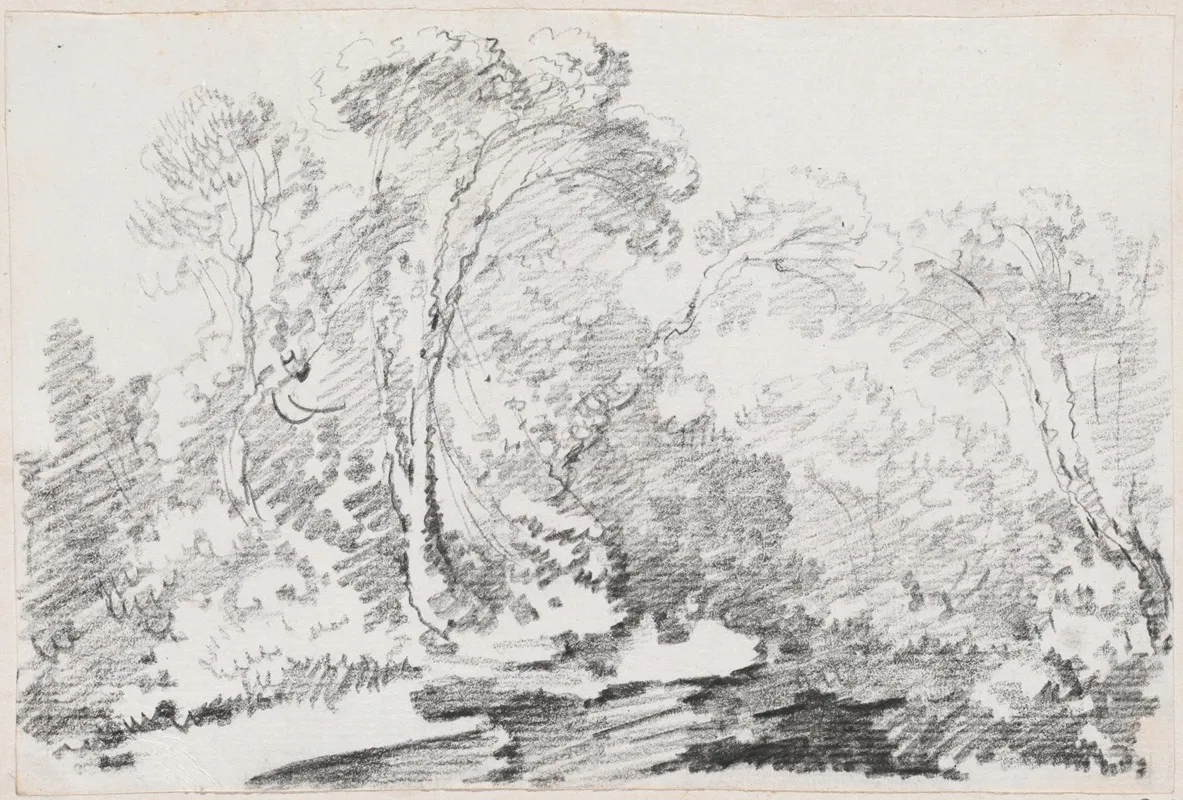 Trees 5