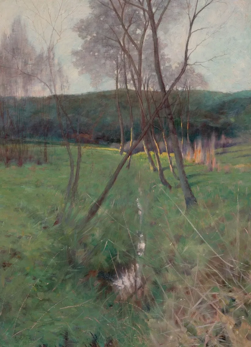 Trees Along A Creek