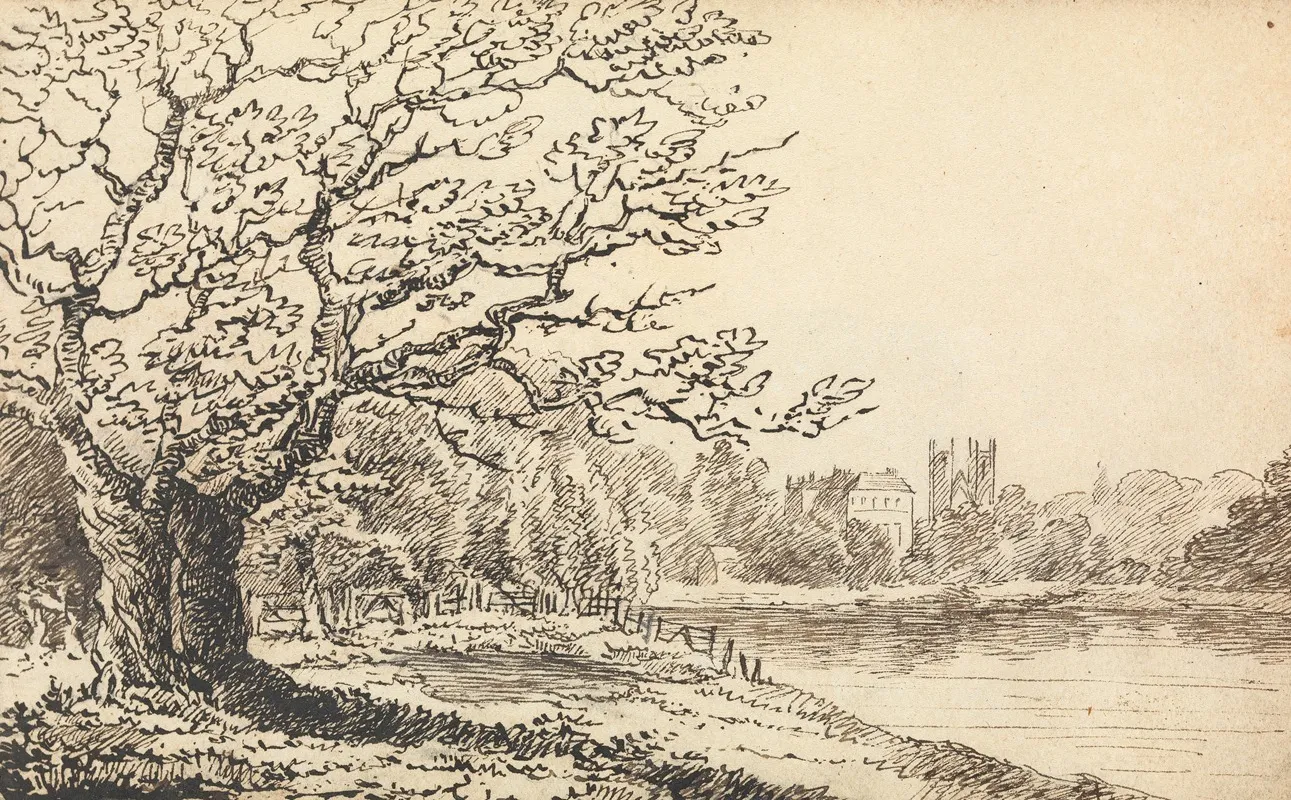 Trees Alongside A River With Buildings In The Distance