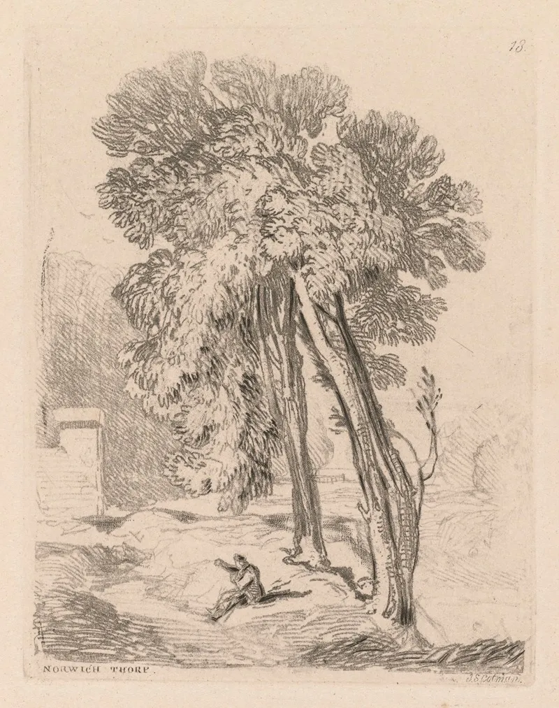 Trees At Norwich Thorp Norfolk Wall Art by John Sell Cotman - High-Resolution Digital Print