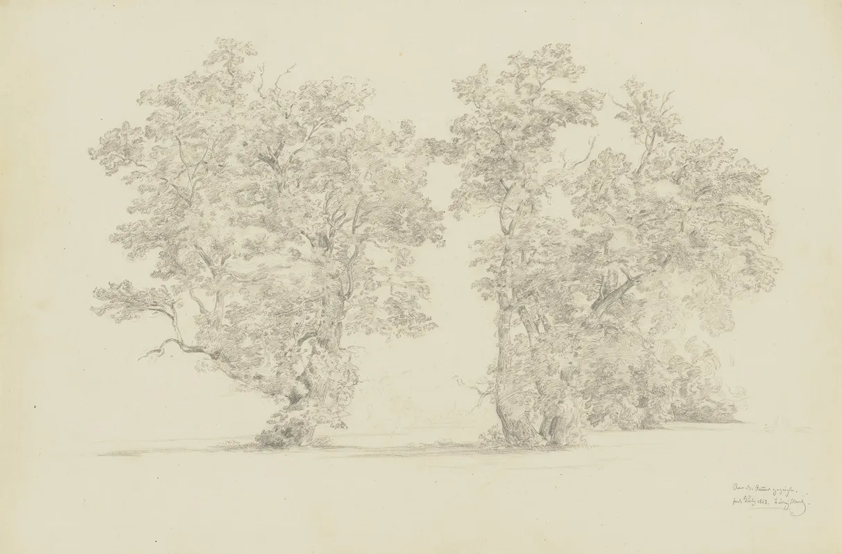Trees At The Ammer