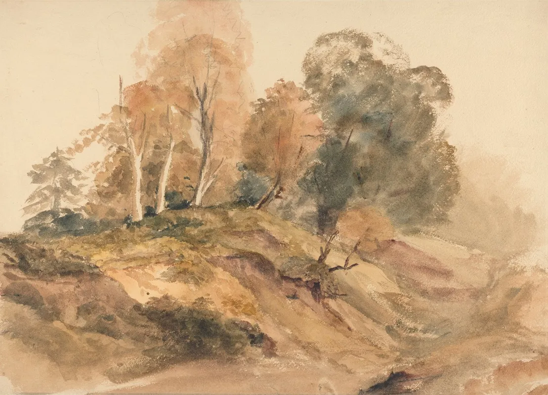 Trees On A Bank