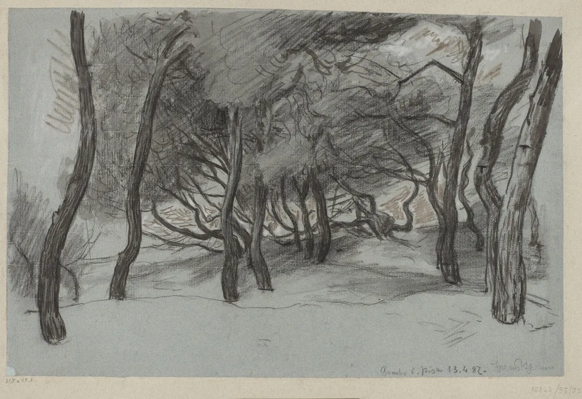 Trees On A Beach In Gombo Near Pisa Wall Art by Hans Thoma - High-Resolution Digital Print