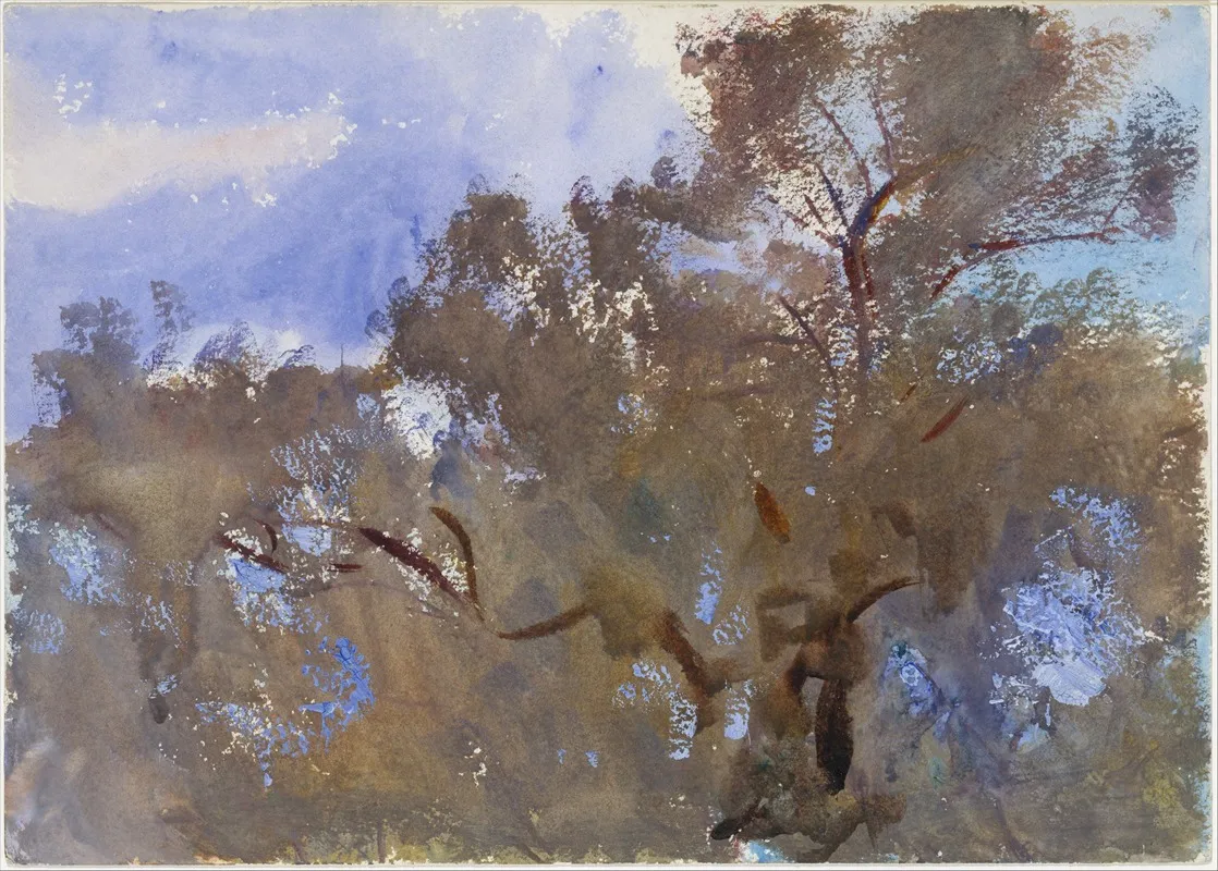 Treetops Against Sky
