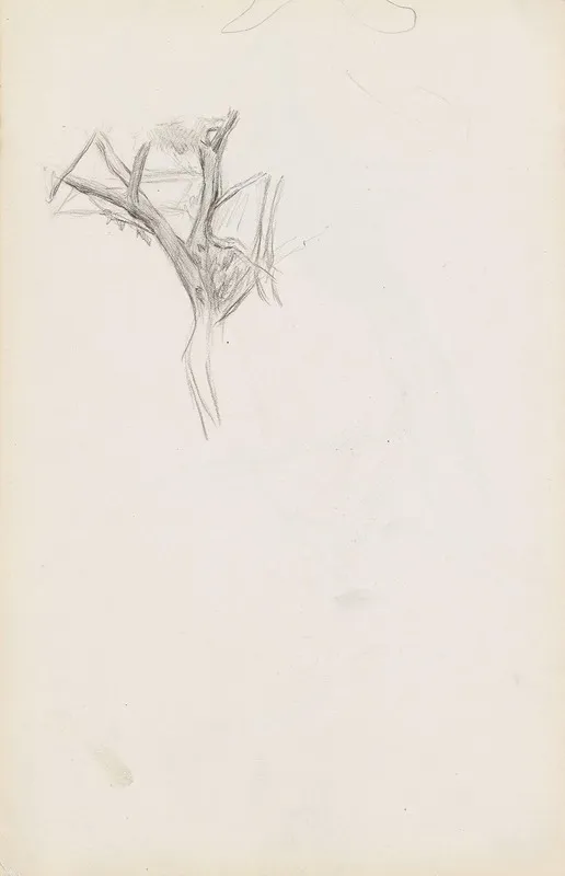 Trestudie 2