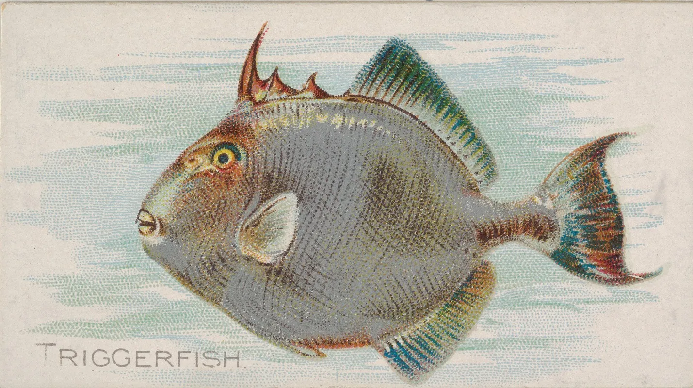 Triggerfish Wall Art by Allen &amp; Ginter - High-Resolution Digital Print