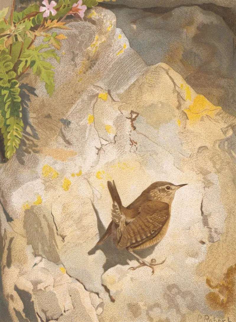 Troglodyte Wall Art by Léo-Paul Robert - High-Resolution Digital Print