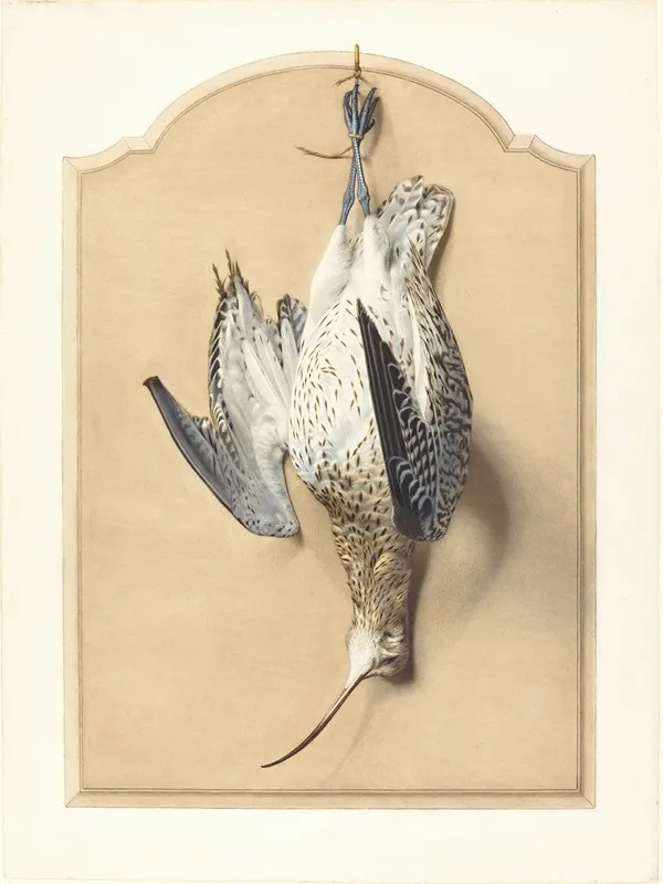 Trompe Loeil A Curlew Hanging From A Nail Wall Art by Édouard Traviès - High-Resolution Digital Print