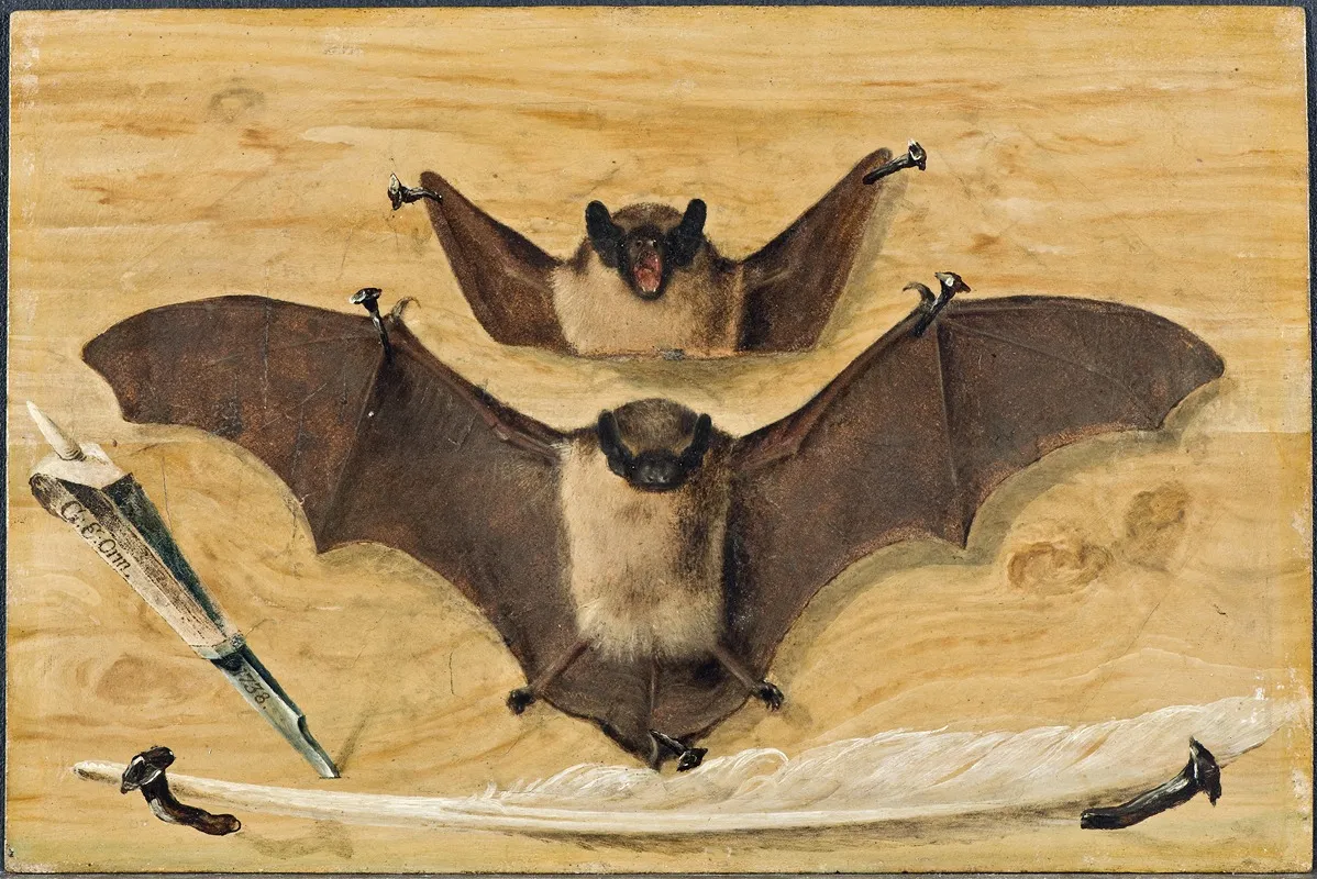 Trompe Loeil Two Bats Nailed To A Timber Wall Knife And Quill Pen Wall Art by Gabriel Orm - High-Resolution Digital Print