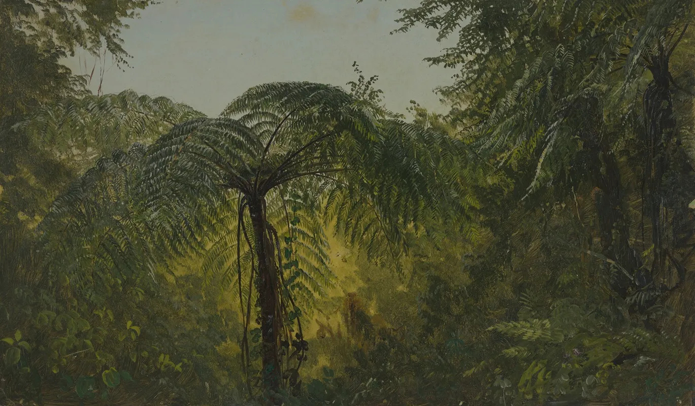 Tropical Landscape
