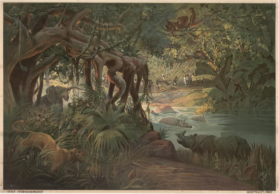 Tropical Region Congo Wall Art by Frederic Hugo d’Alési - High-Resolution Digital Print
