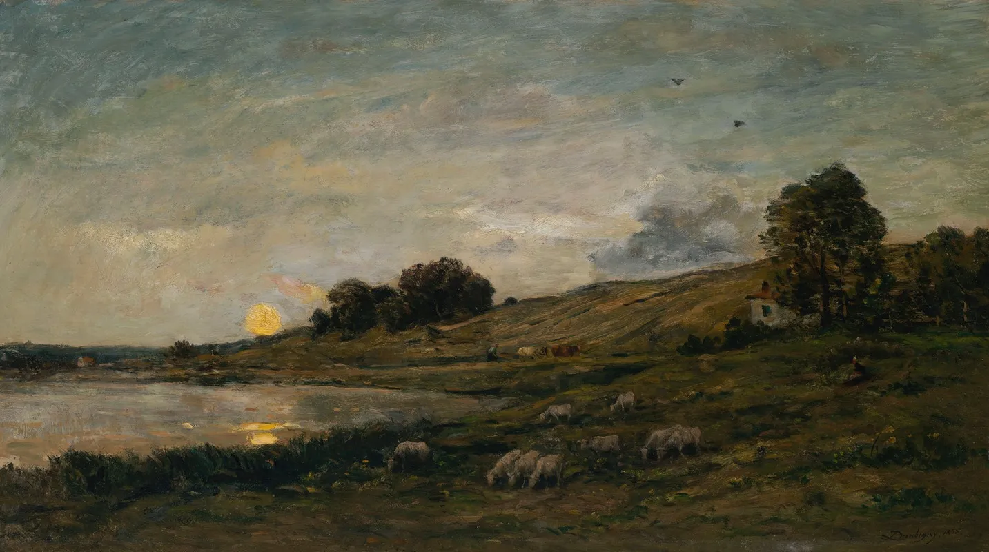 Troupeau De Moutons Au Bord De La Riviere