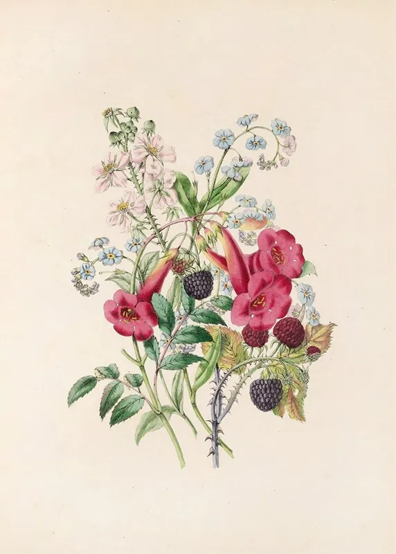 Trumpet Flower Forget Me Not And Raspberry Wall Art by James Ackerman - High-Resolution Digital Print