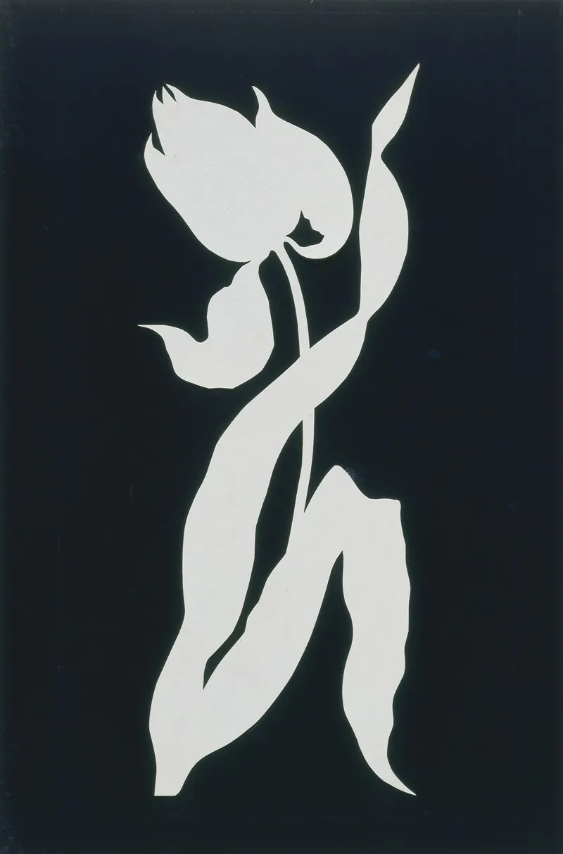 Tulip 5