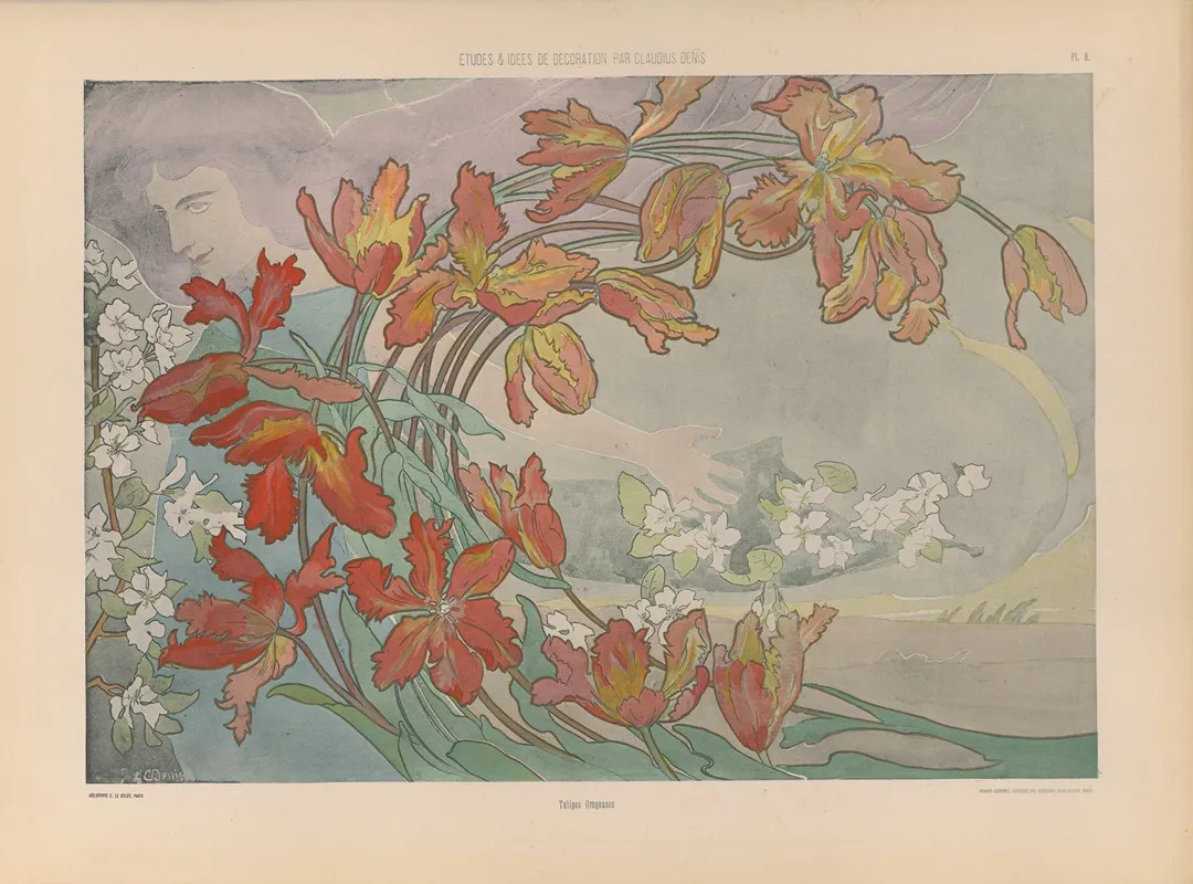 Tulipes Orageuses