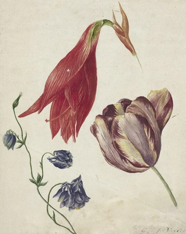 Tulp Akelei En Amaryllis Wall Art by Georgius Jacobus Johannes van Os - High-Resolution Digital Print
