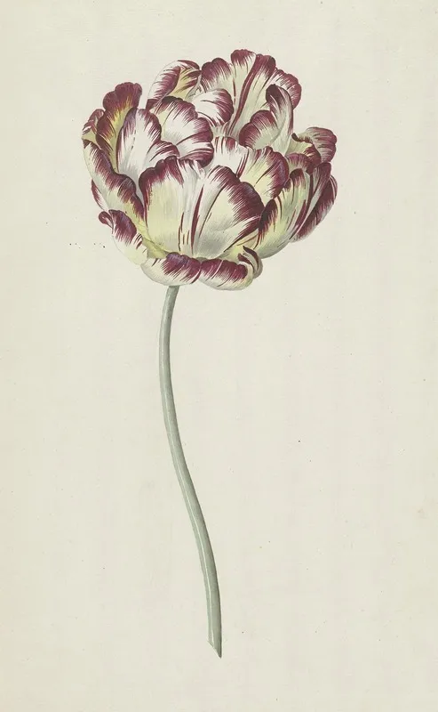 Tulp Wall Art by Louis Moritz - High-Resolution Digital Print