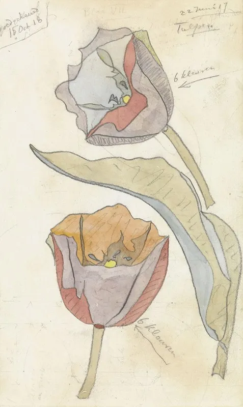 Tulpen
