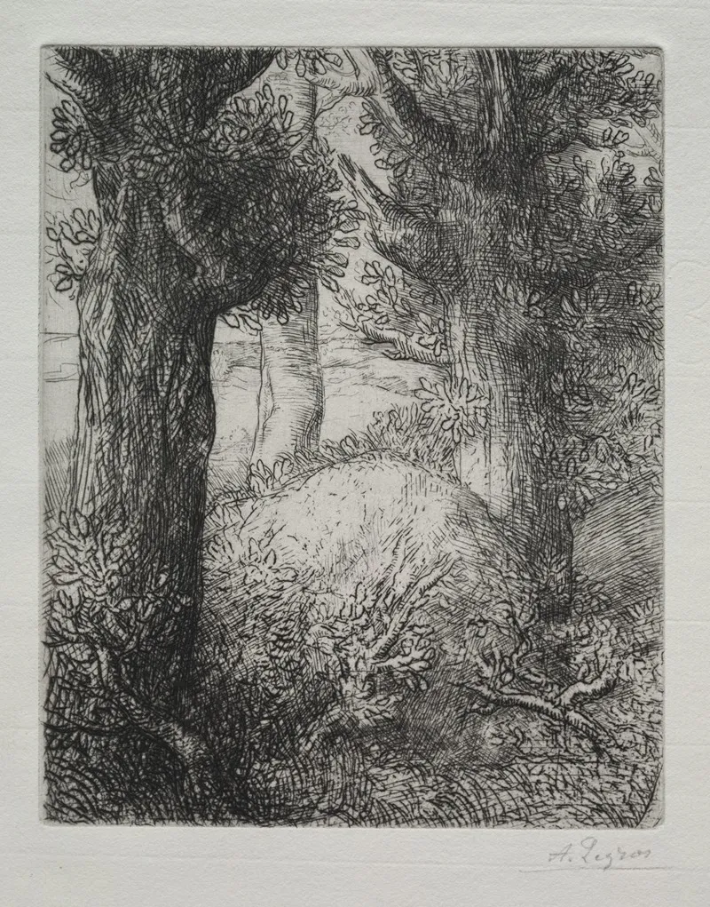 Tumulus Gaulois
