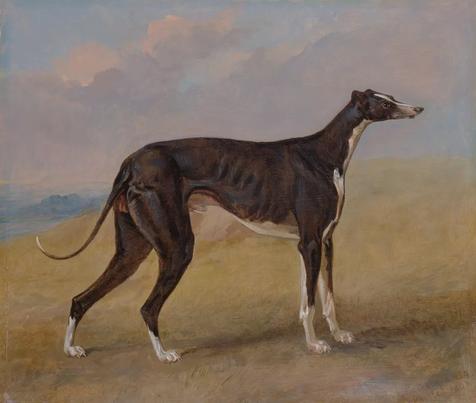 Turk A Greyhound The Property Of George Lane Fox Wall Art by George Garrard - High-Resolution Digital Print