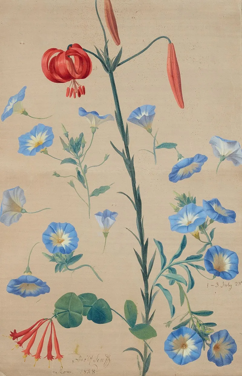 Turkenbundlilie Ackerwinden Und Geissbla Wall Art by Adolf Carl Senff - High-Resolution Digital Print