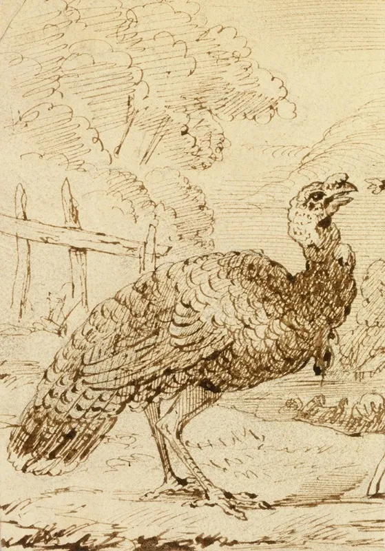Turkey 2