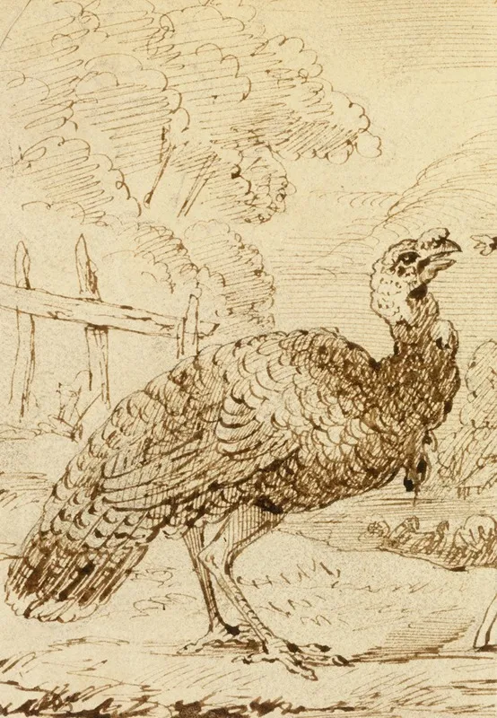 Turkey