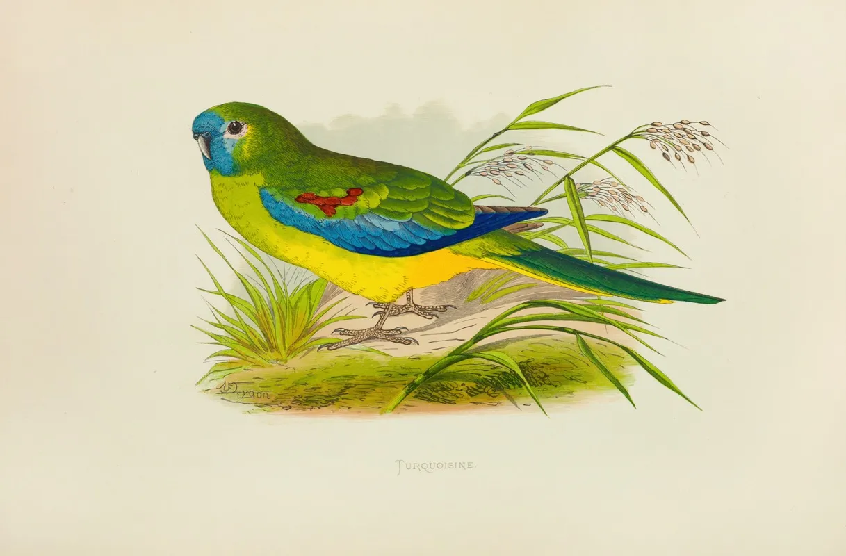 Turquoisine Wall Art by Alexander Francis Lydon - High-Resolution Digital Print