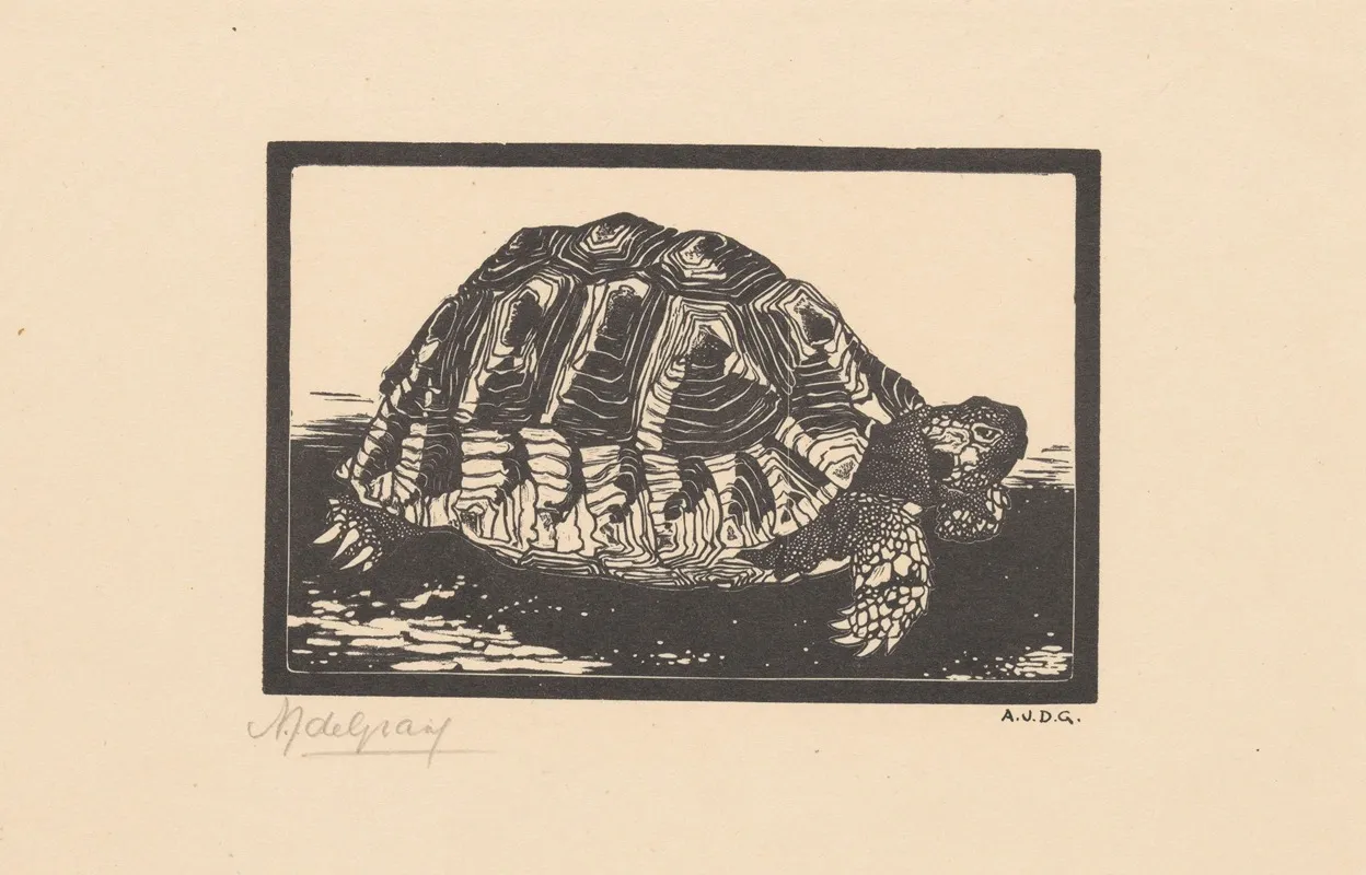 Turtle 2 Wall Art by Julie de Graag - High-Resolution Digital Print