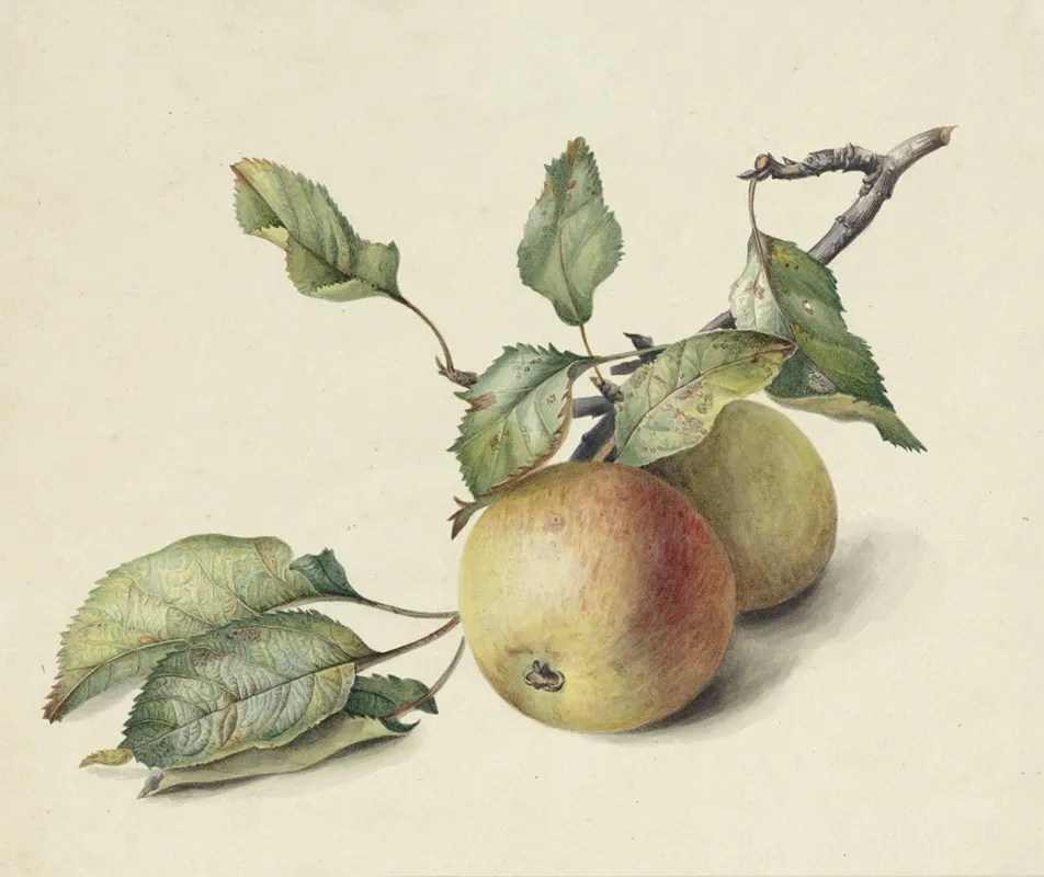 Twee Appeltjes Aan Een Tak Wall Art by Johannes Reekers II - High-Resolution Digital Print