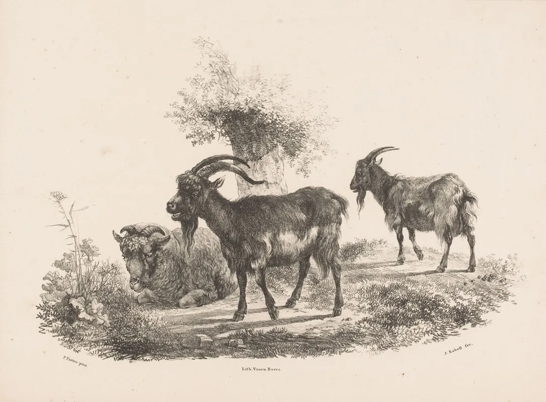 Twee Geiten En Een Schaap Bij Een Boom Wall Art by Jan Kobell III - High-Resolution Digital Print