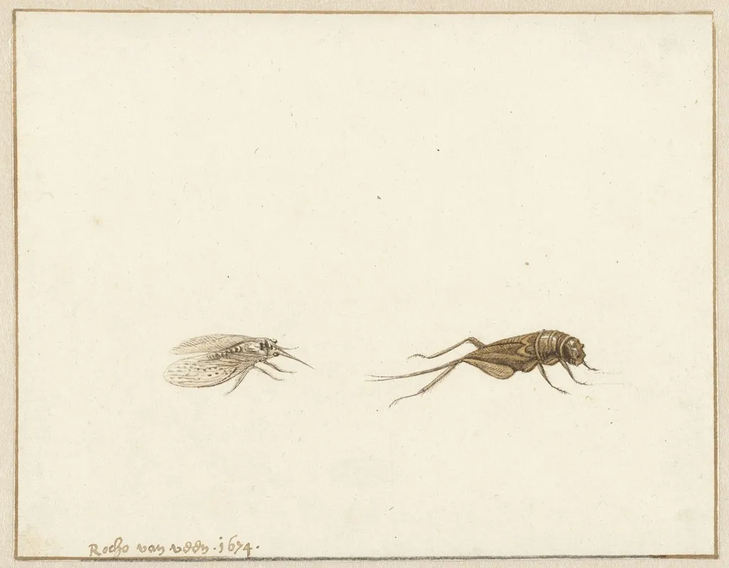 Twee Insecten 2 Wall Art by Gerardus van Veen - High-Resolution Digital Print