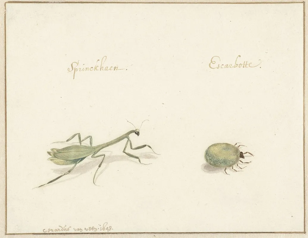 Twee Insecten Wall Art by Gerardus van Veen - High-Resolution Digital Print
