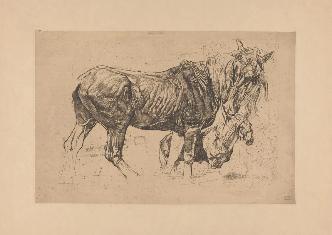 Twee Paarden 3
