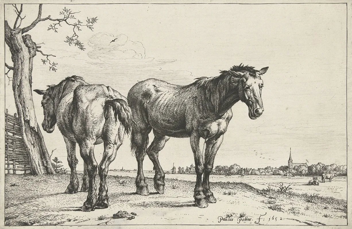 Twee Ploegpaarden Paarden
