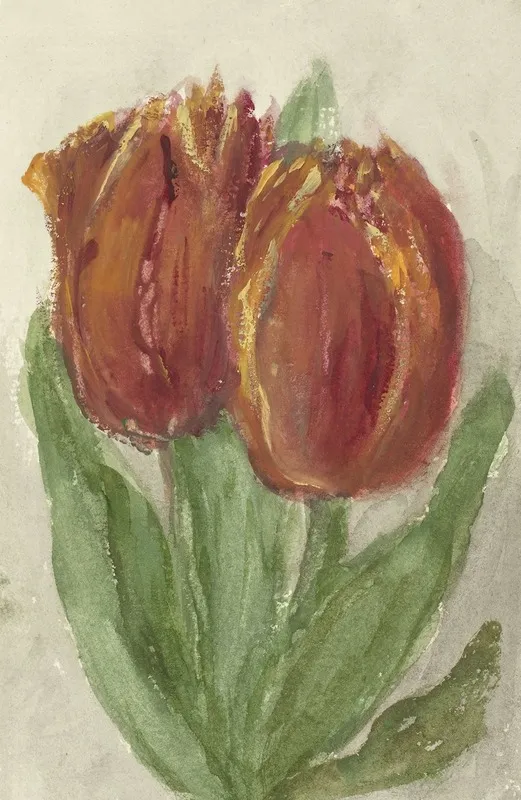 Twee Rode Tulpen 2