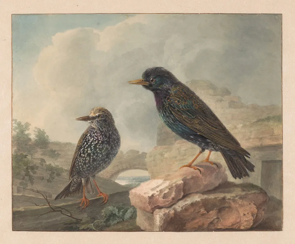 Twee Spreeuwen Wall Art by Cornelis van Hardenbergh - High-Resolution Digital Print