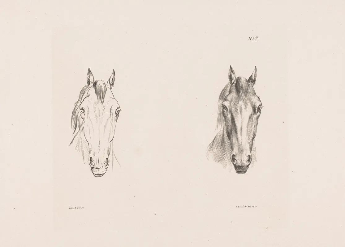 Twee Studies Van Een Paardenhoofd 2 Wall Art by Pieter Frederik van Os - High-Resolution Digital Print