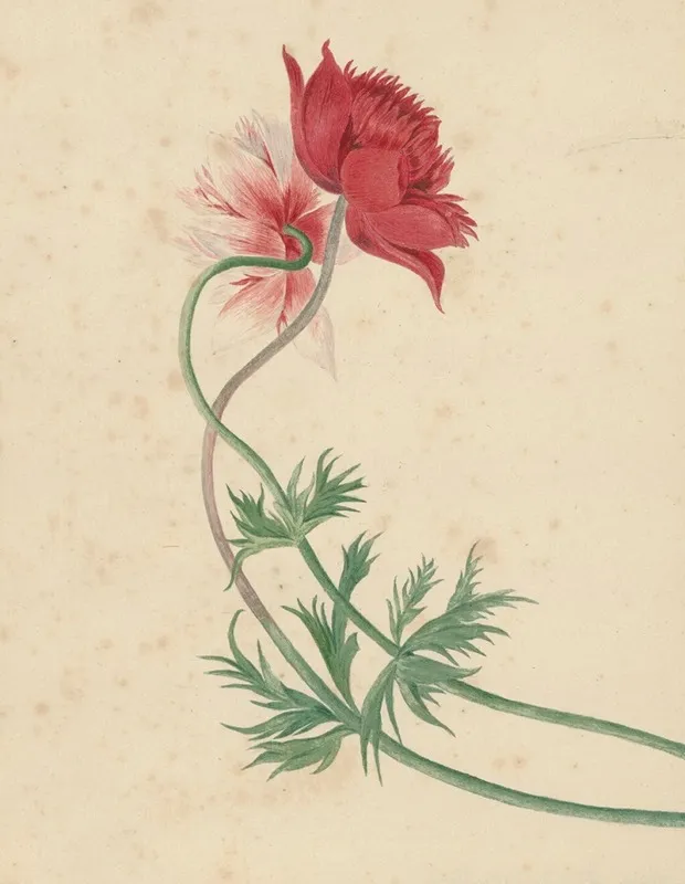 Twee Takken Met Elk Een Bloem Wall Art by Michiel van Huysum - High-Resolution Digital Print