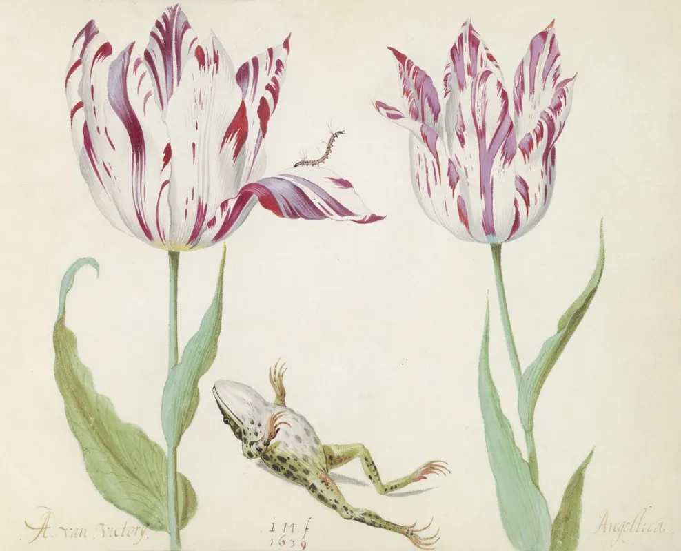 Twee Tulpen Met Dode Kiker En Rups A Van Victorij Angellica Wall Art by Jacob Marrel - High-Resolution Digital Print