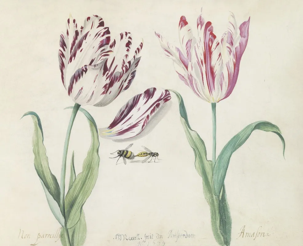 Twee Tulpen Met Hommel En Wesp Non Parreillije Amasona Wall Art by Jacob Marrel - High-Resolution Digital Print