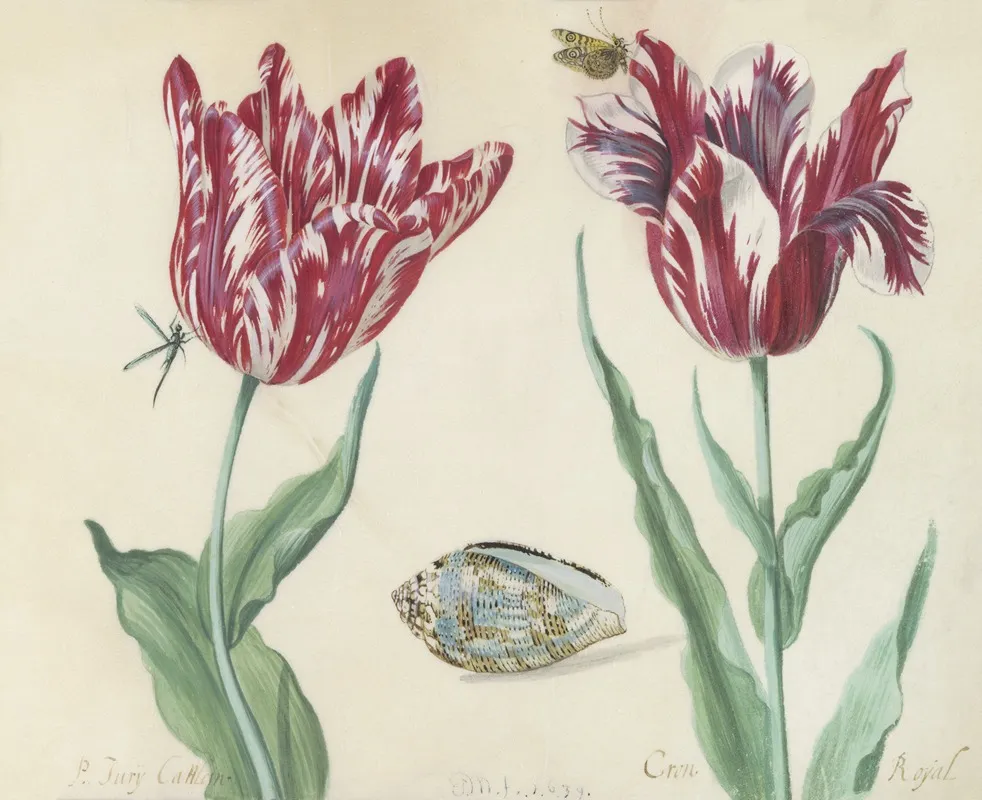 Twee Tulpen Met Schelp Vlinder En Vlieg Minerva Orrienthal Wall Art by Jacob Marrel - High-Resolution Digital Print