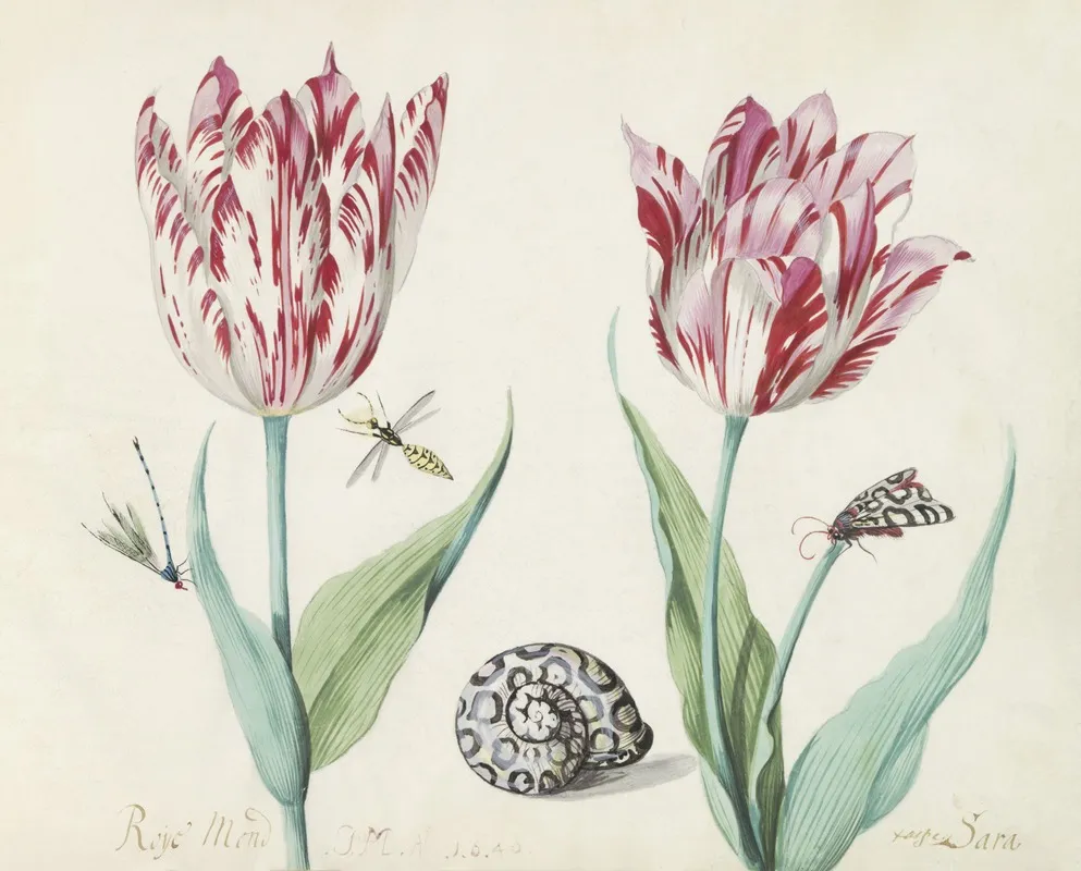 Twee Tulpen Met Slak Nachtvlinder En Twee Insecten Wall Art by Jacob Marrel - High-Resolution Digital Print