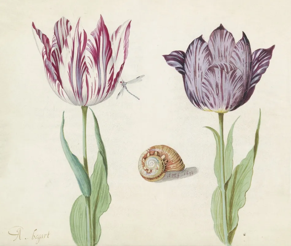 Twee Tulpen Met Slakkenhuis En Waterjuffer A Bogart La Morta Wall Art by Jacob Marrel - High-Resolution Digital Print