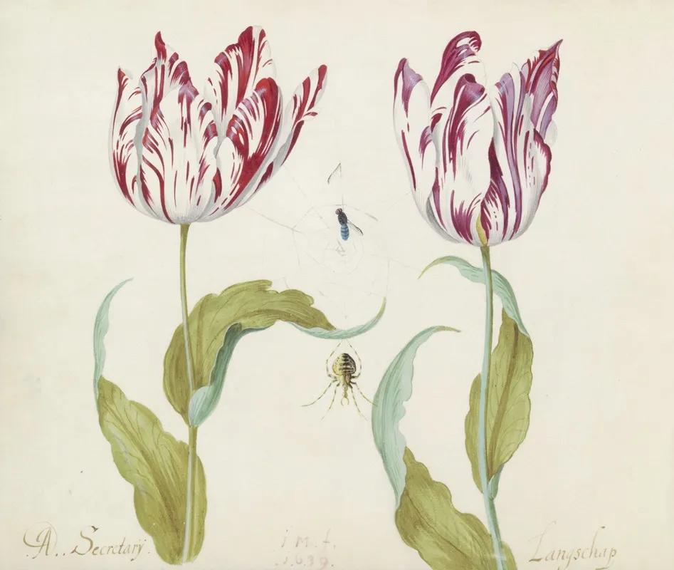 Twee Tulpen Met Spin En Vlieg In Spinnenweb A Secretarij Langschap Wall Art by Jacob Marrel - High-Resolution Digital Print