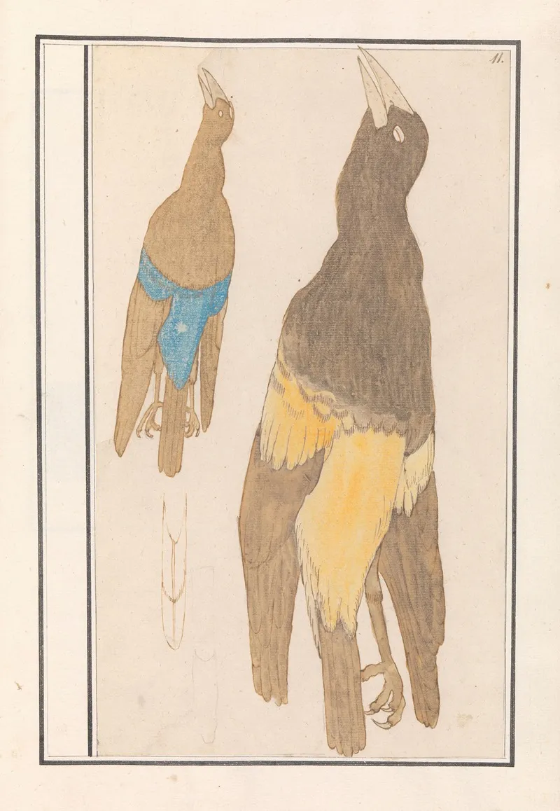 Twee Vogels Wall Art by Anselmus Boëtius de Boodt - High-Resolution Digital Print