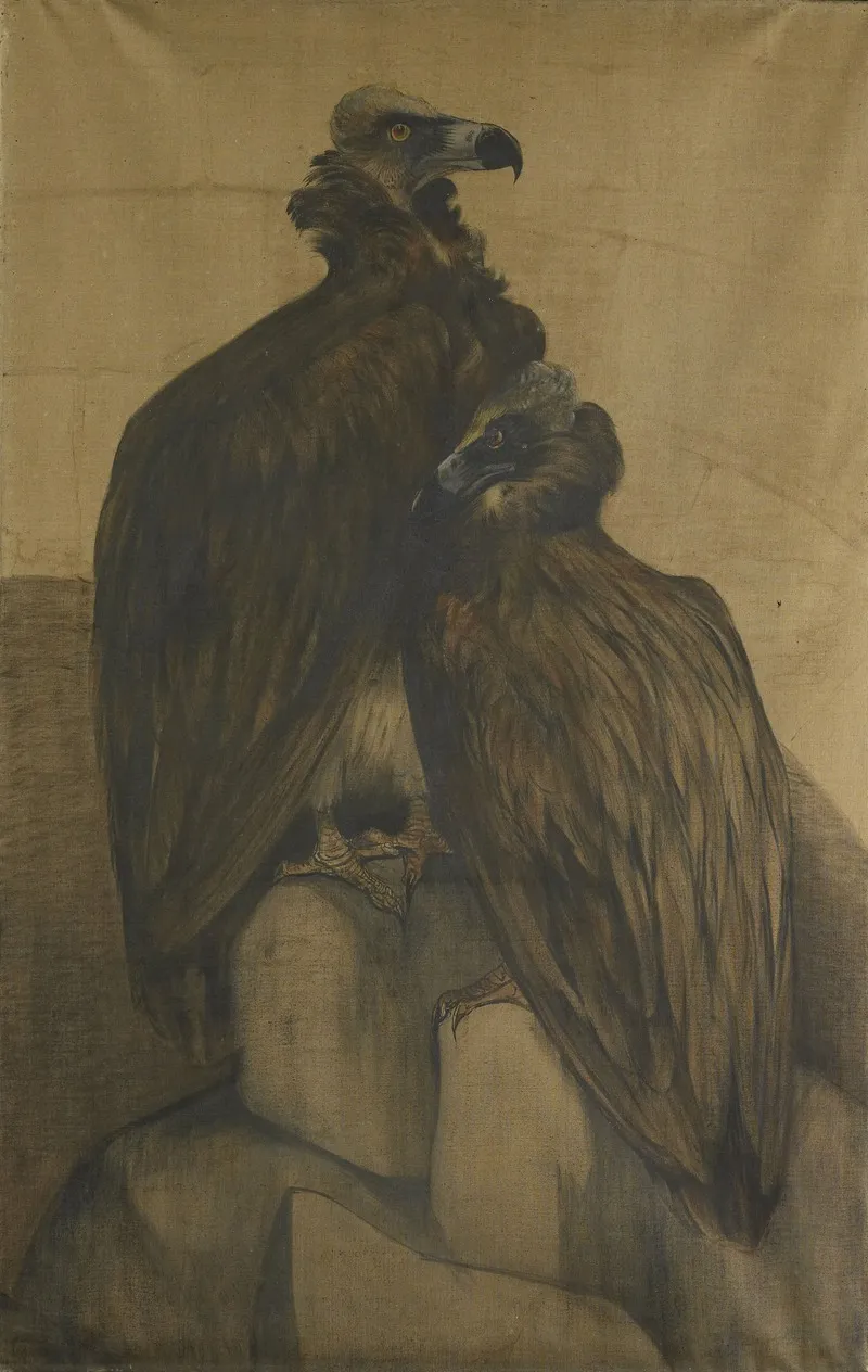 Two Arabian Vultures 2