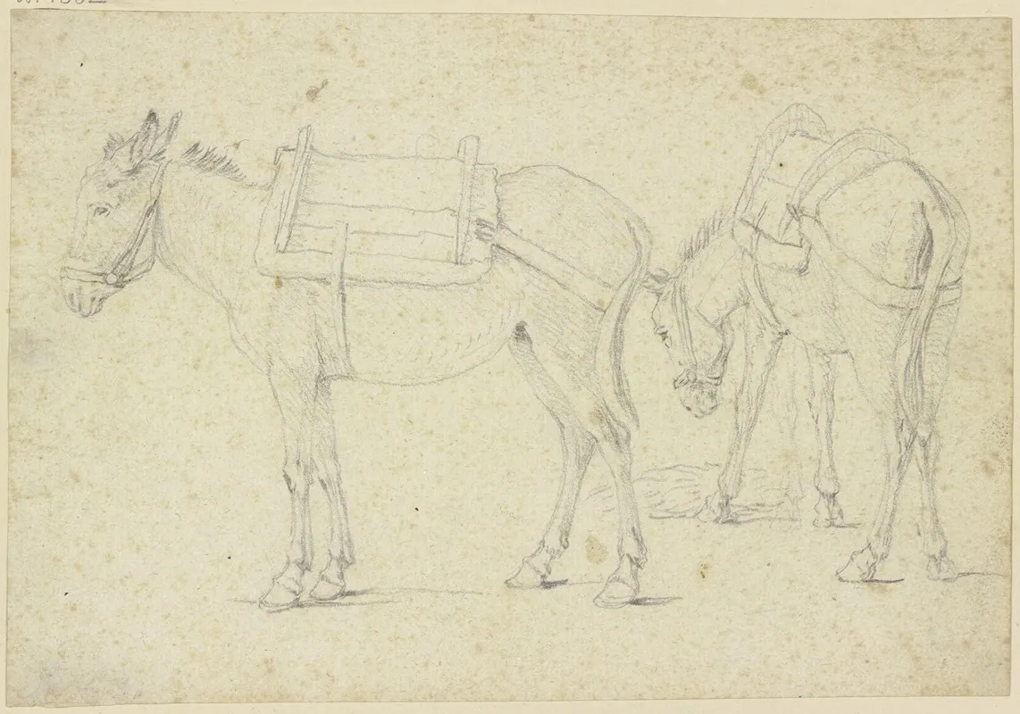 Two Bridled Donkeys
